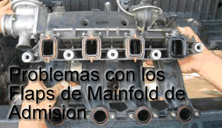 Buscando Repuesto de los Flaps de Mainfold de admision del BMW 320D