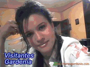 A seccion de personas visitantes de Stereo Gardenia